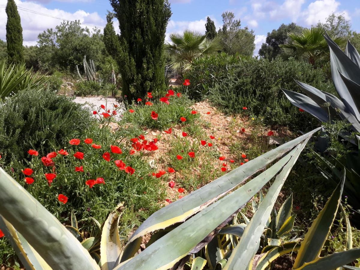 Finca Alqueria Fosca Campos Kültér fotó