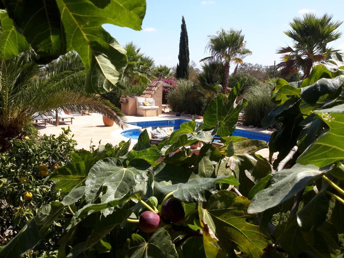 Finca Alqueria Fosca Campos Kültér fotó