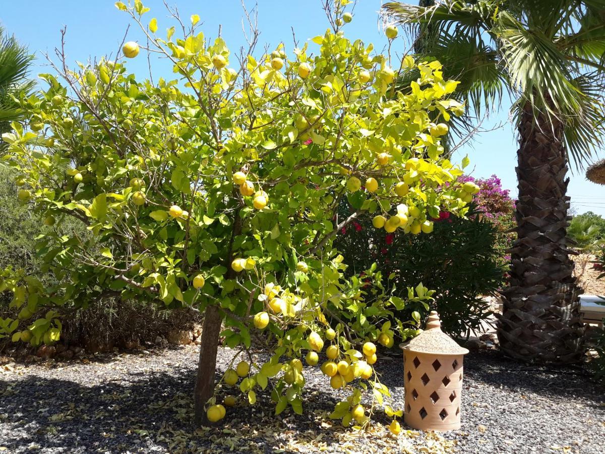 Finca Alqueria Fosca Campos Kültér fotó