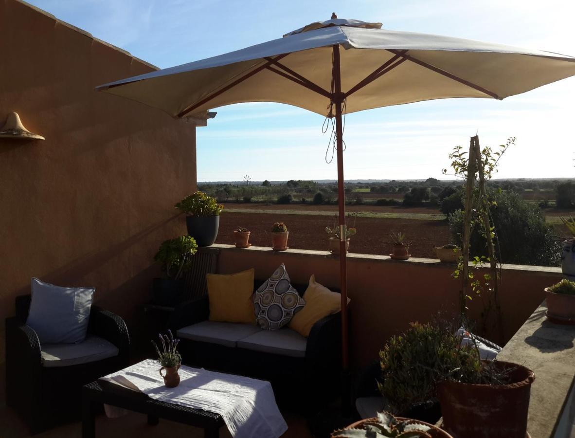 Finca Alqueria Fosca Campos Kültér fotó