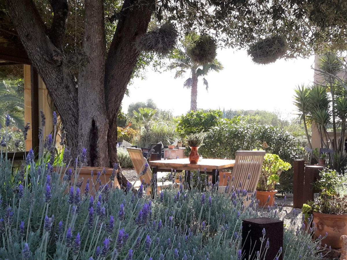 Finca Alqueria Fosca Campos Kültér fotó