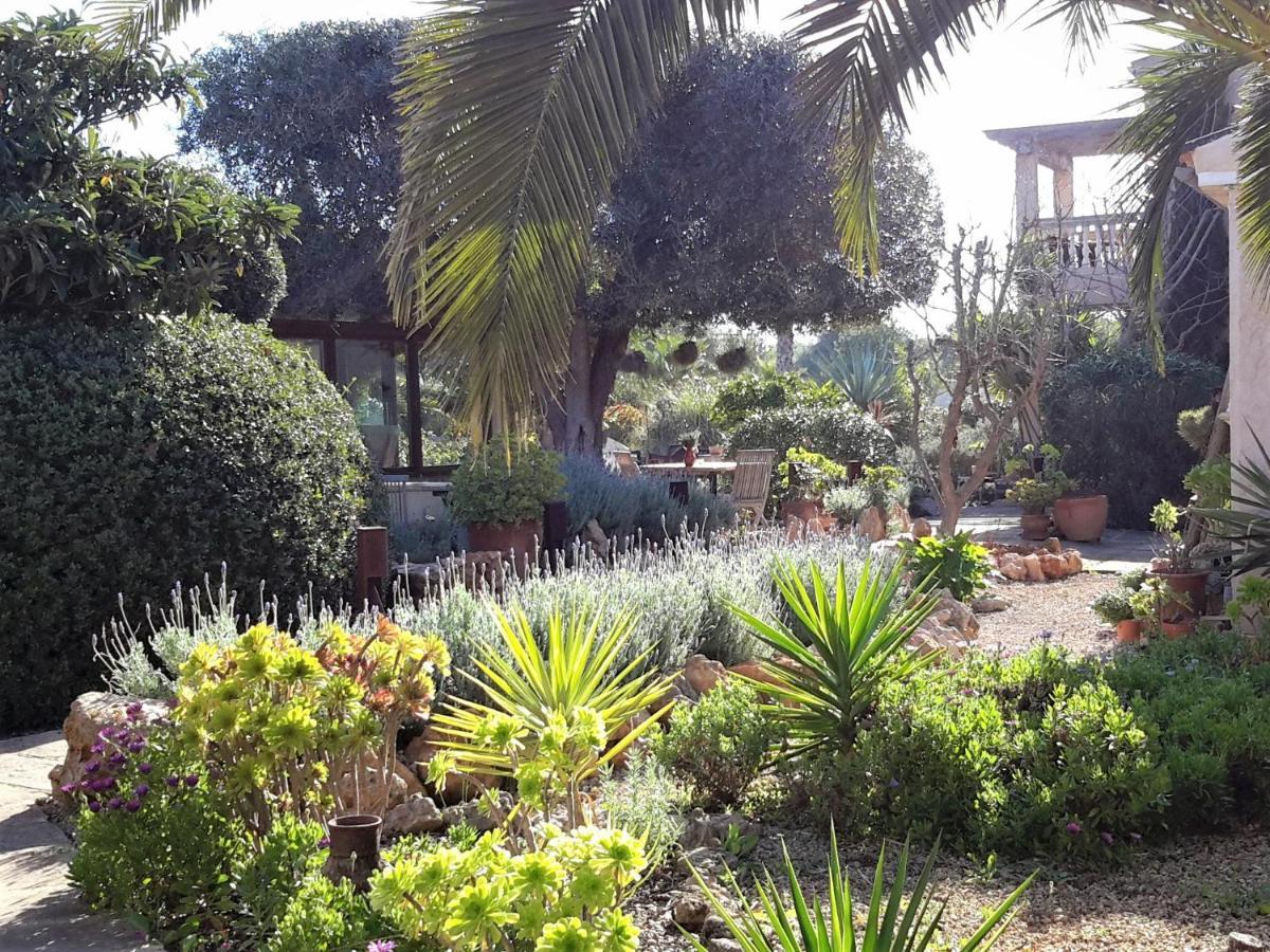 Finca Alqueria Fosca Campos Kültér fotó