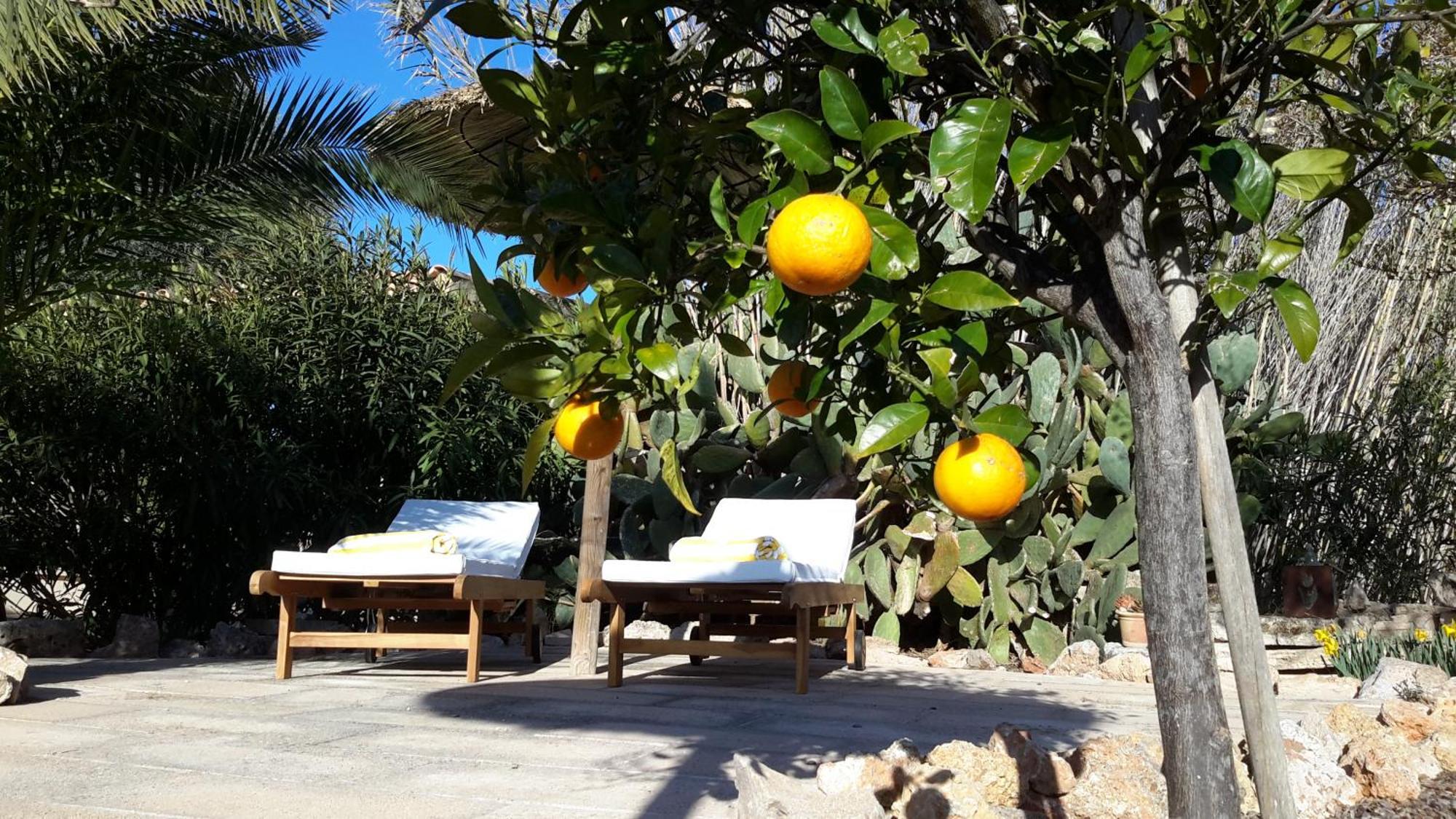 Finca Alqueria Fosca Campos Kültér fotó