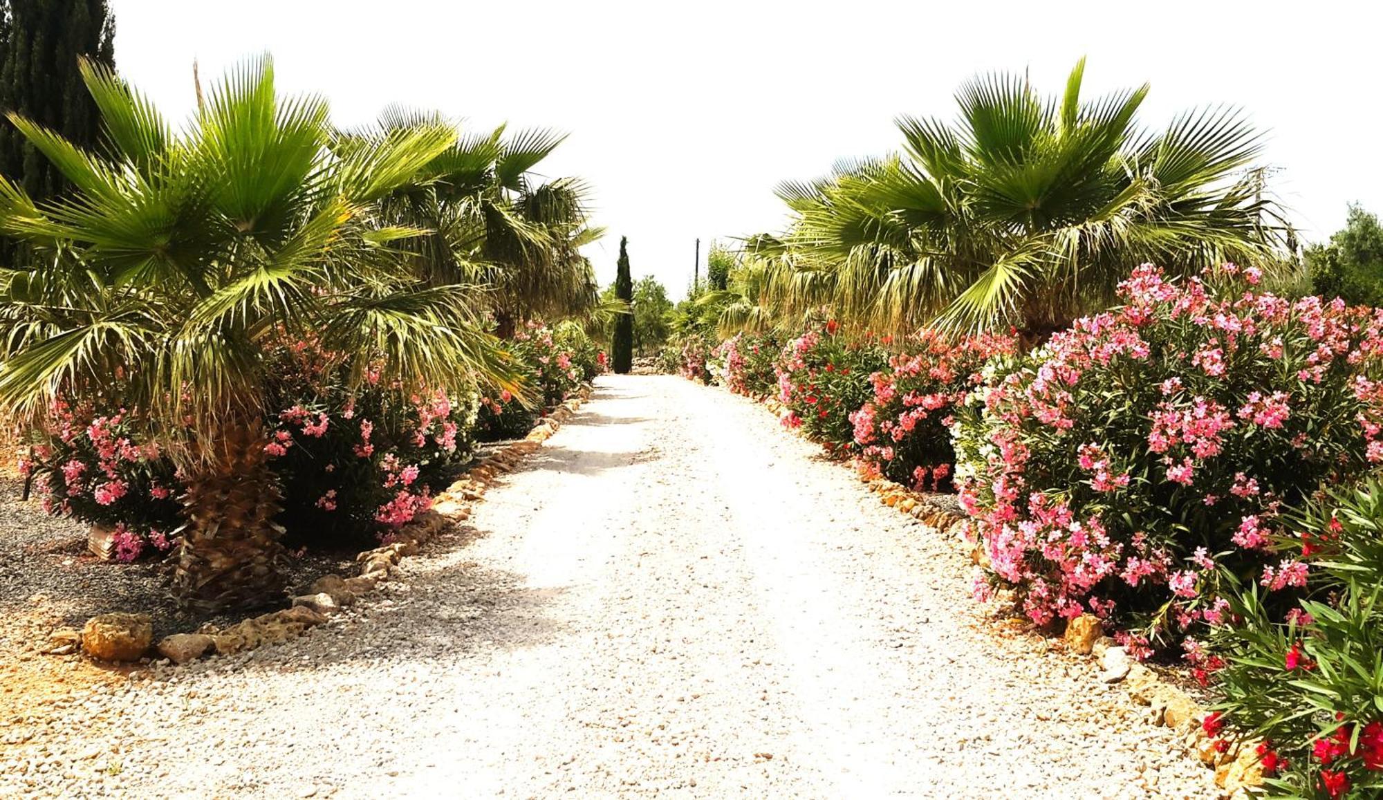 Finca Alqueria Fosca Campos Kültér fotó